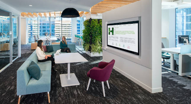 humana corporate offices