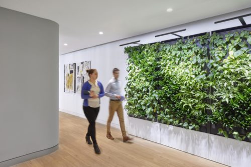 living green wall